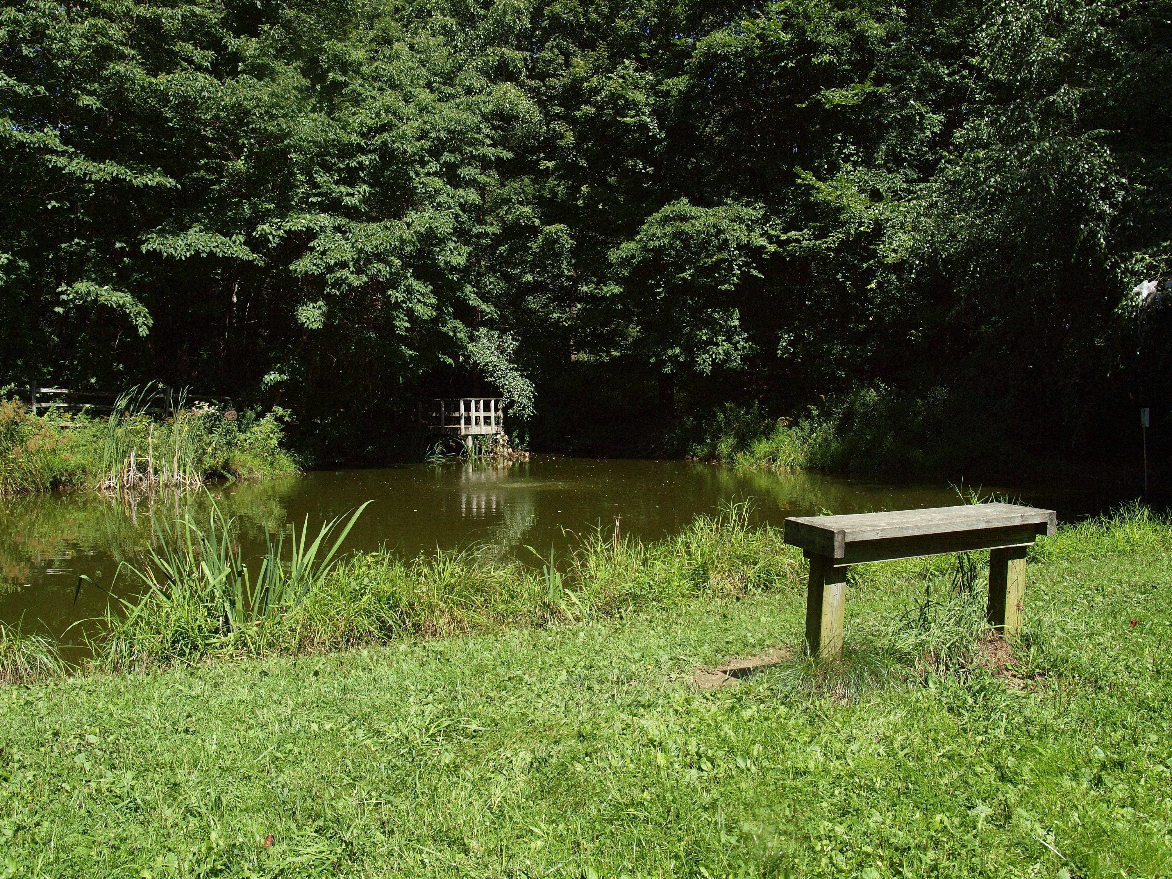 草地上的长凳俯瞰着自然中心的一个池塘